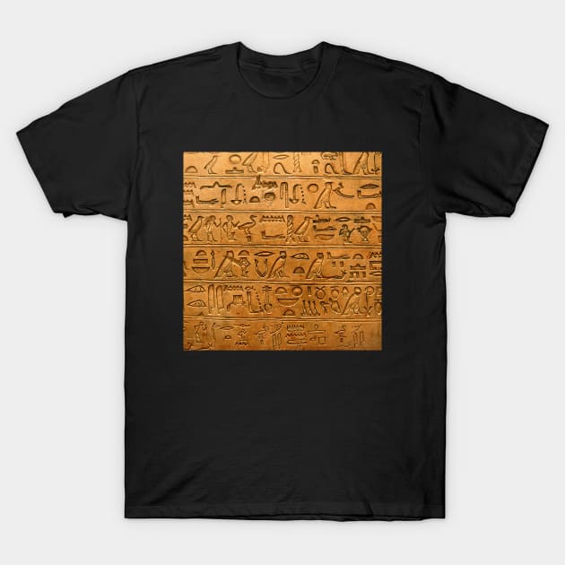 Egyptian hieroglyphics T-Shirt by Dashu